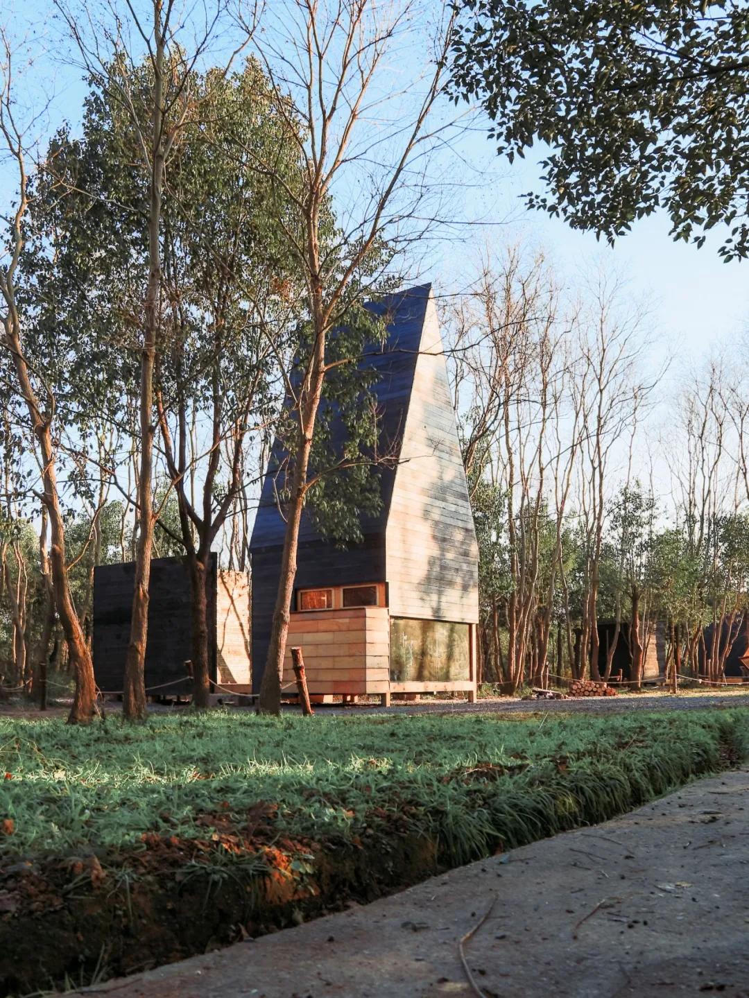 姝︽眽鏂板啝搴峰娌荤枟,姝︽眽鏂板啝娌荤枟浜虹兢鍚庣画鐢熸椿