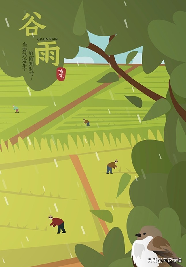农谚谷雨下雨好吗,谷雨下雨农谚怎么说
