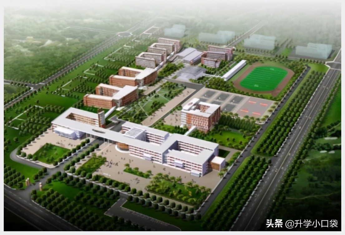 全国化学奥赛山东省一等奖,山东省高中化学竞赛奖项