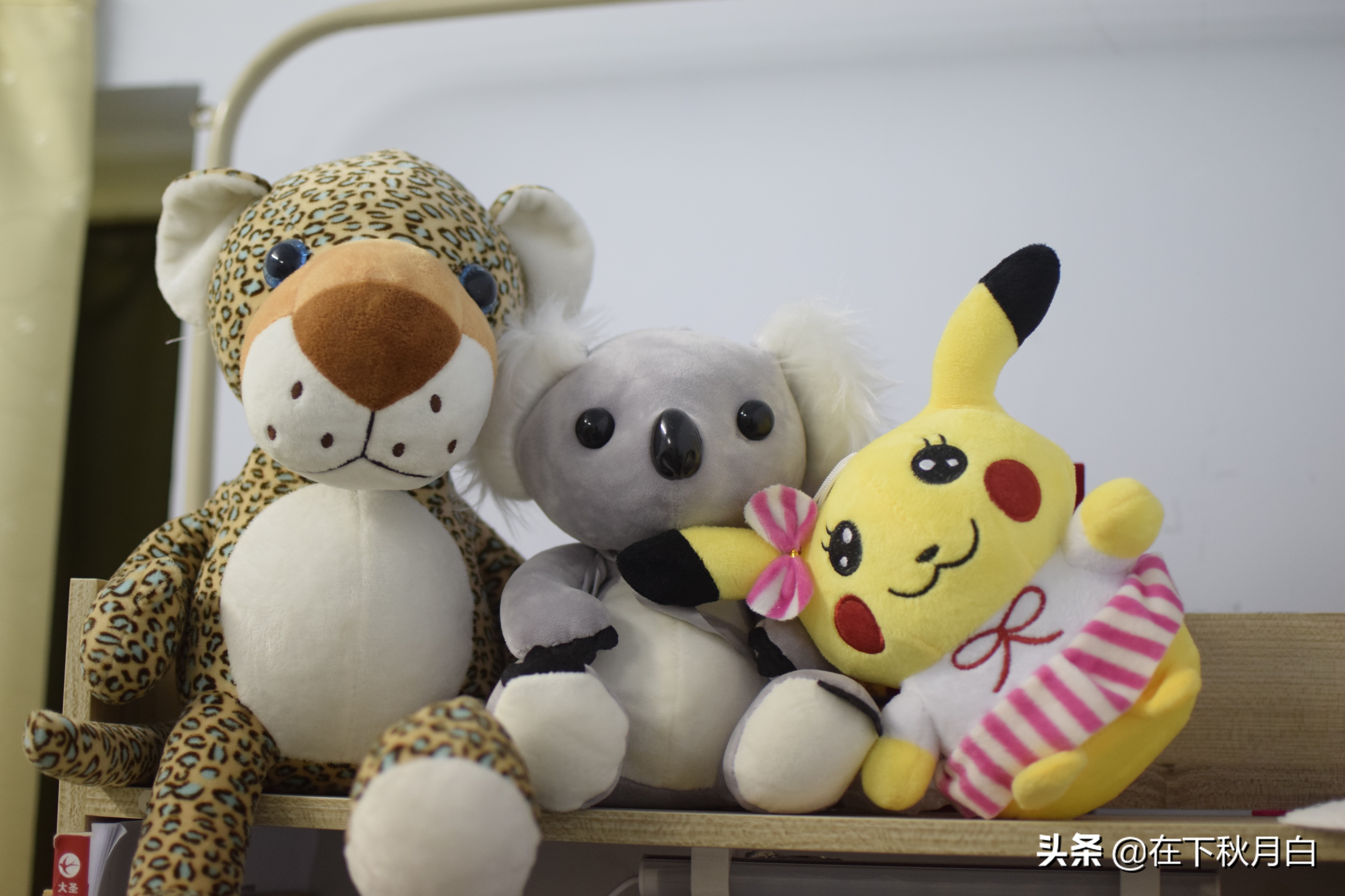 作为大学生如何处理好宿舍关系,如何在大学保持宿舍的良好关系