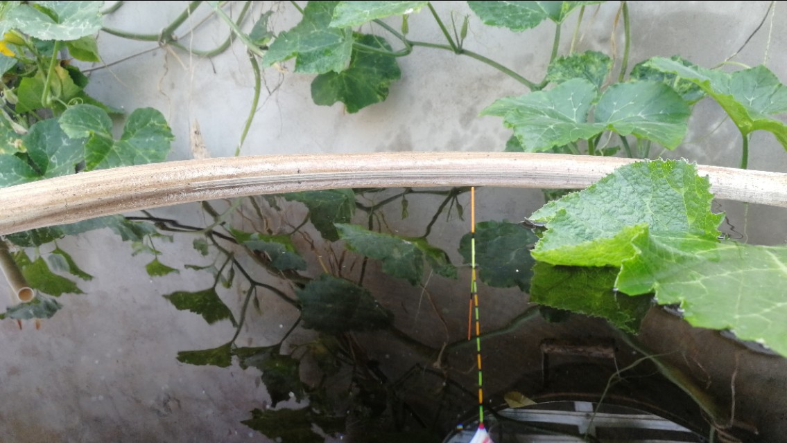 钓鱼鱼口轻漂相不明显怎么调,最正确的调漂方法