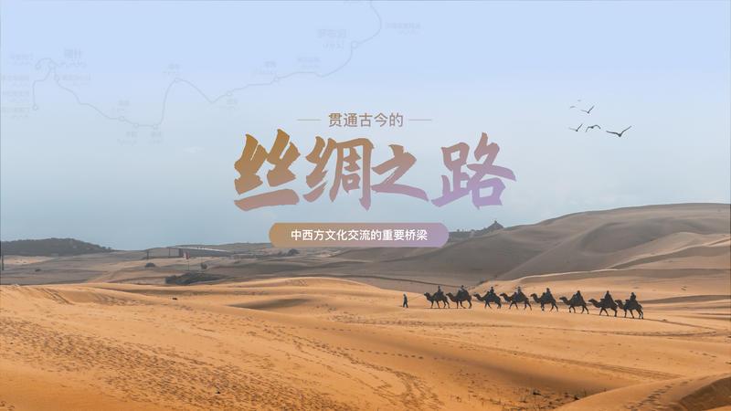 罗永浩谈演讲,老人与海演讲视频素材