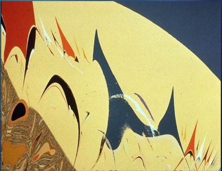 大自然的分形几何学,大自然的几何图形拼图