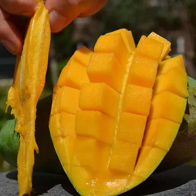 越南大青芒芒果中的巨无霸,越南大青芒泰国酸脆青芒果