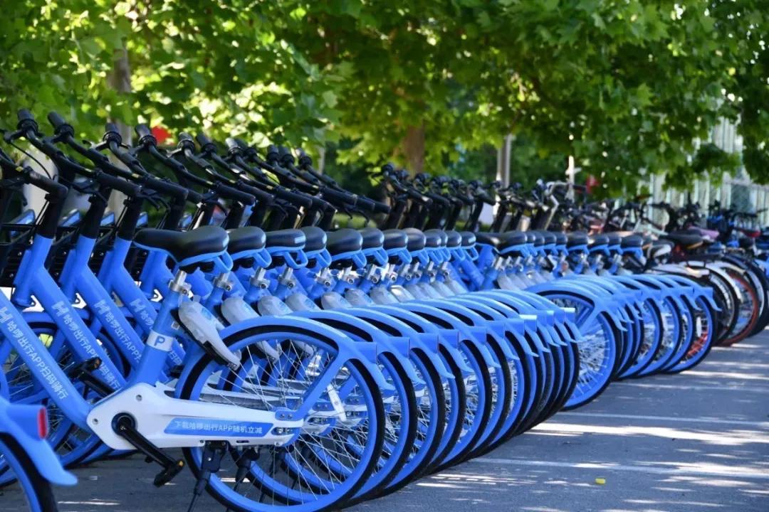 天津普通本科的大学,天津普通高校多少所大学