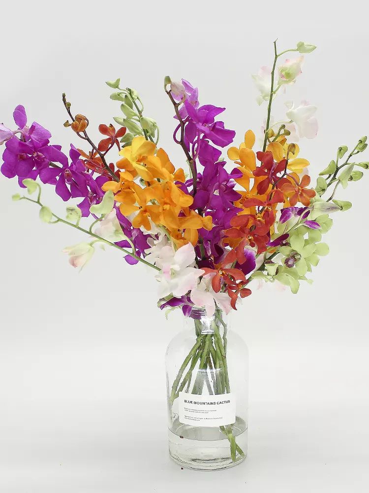 过年家里必摆的九道菜,过年家里摆的喜庆的物件