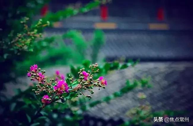 不争自有天地深度好文,不争不抢自有一方天地