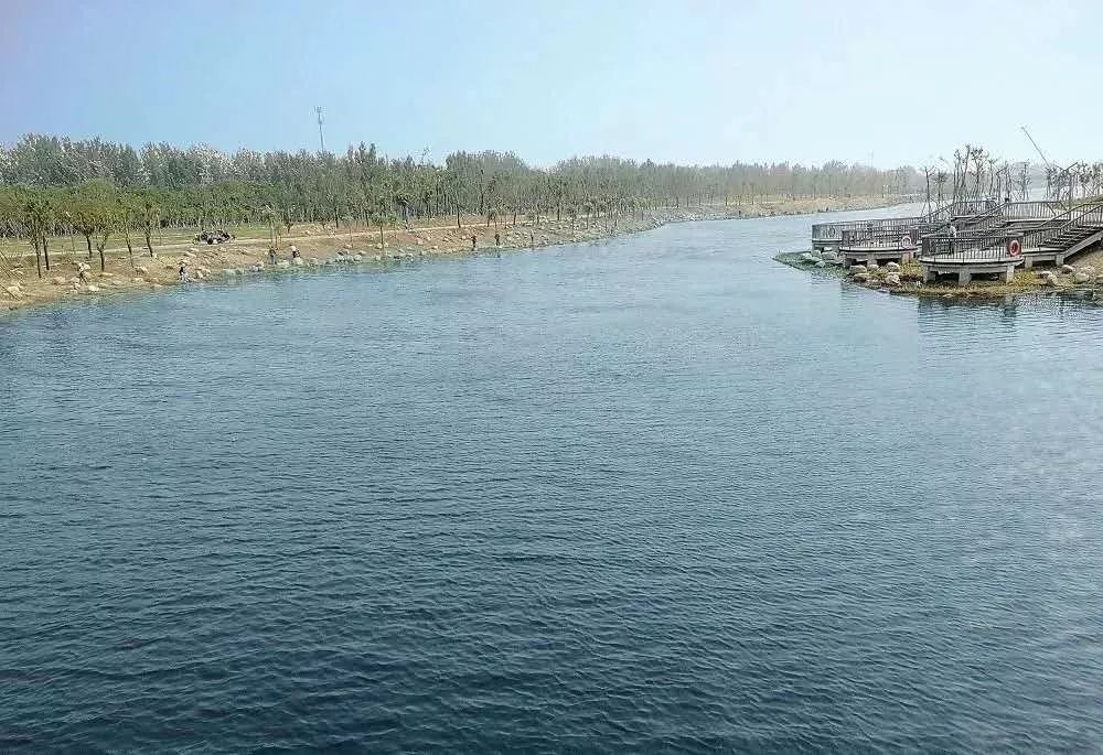 新乡南湖公园对比夏荷公园,新乡南湖公园优势