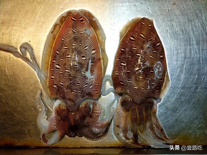 北海|报告!没遇到传销组织,只有吃不尽的海鲜美食