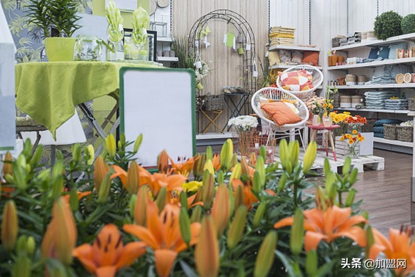 2019创业最佳项目有机蔬菜店,2019创业最佳项目小投资