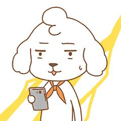 备婚攻略婚前一年,婚前三个月女方的备婚攻略