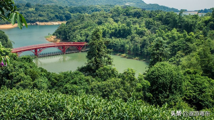 深圳东部华侨城大峡谷附近酒店,深圳东部华侨城大峡谷旅游攻略