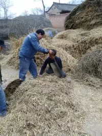 乡情散文故乡的老屋,乡情散文致敬当年的下乡知青