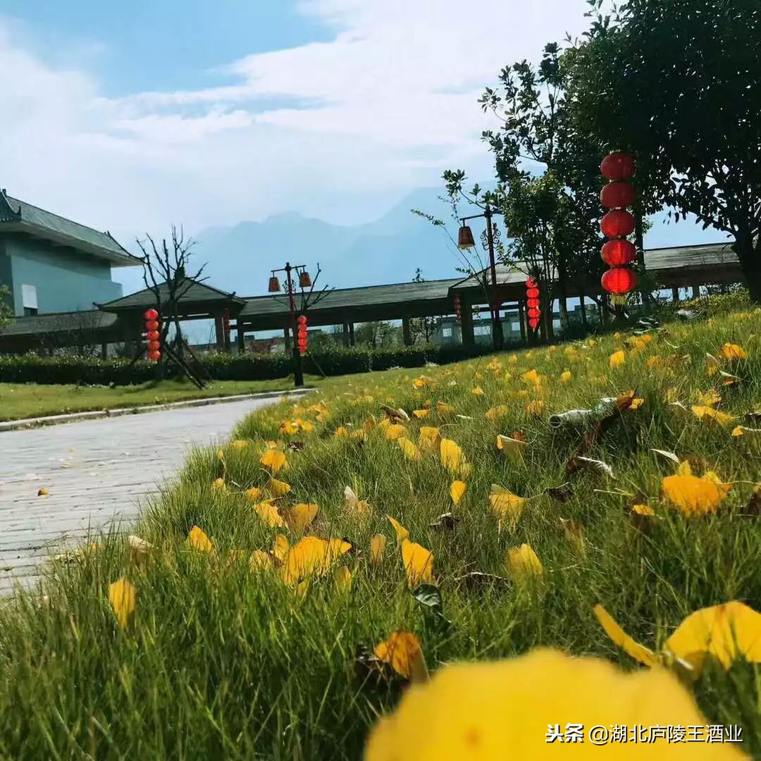 从这里穿越唐朝,在黄酒读懂庐陵王