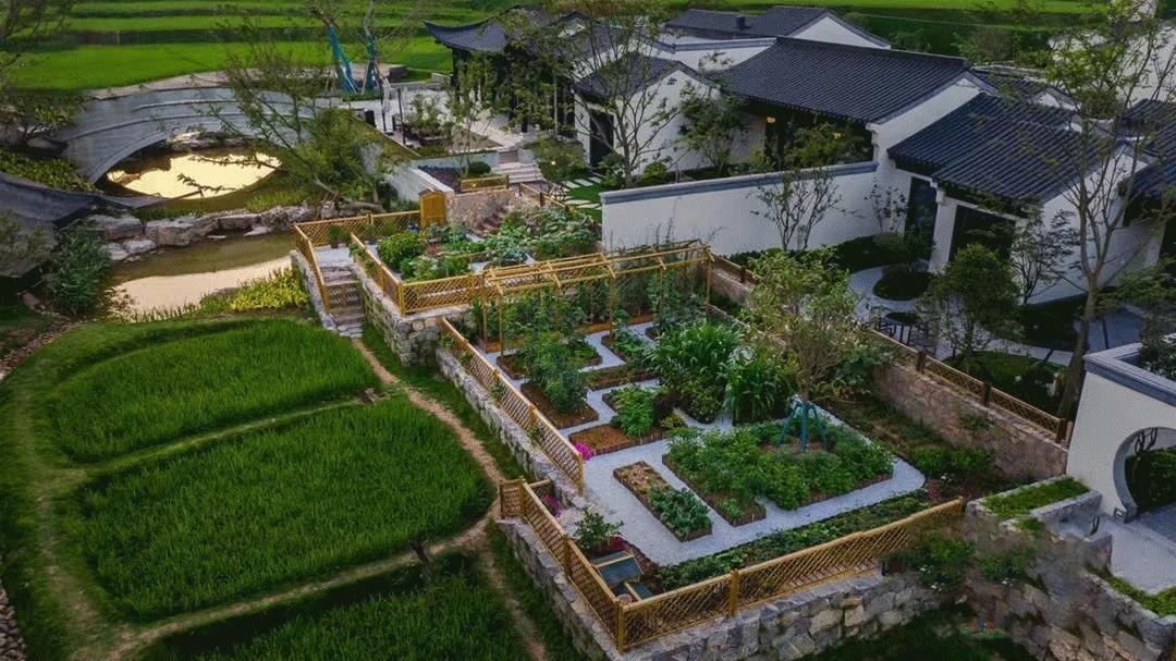 惊艳时光温柔了岁月图片,惊艳时光和岁月