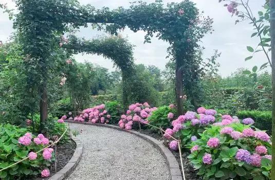 双流空港秘密花园,双流不要门票的公园