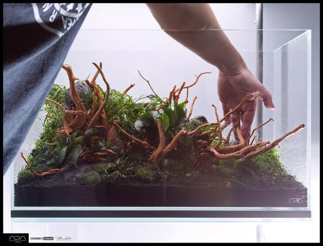 ada风格造景用什么底砂,鱼缸造景ada风格
