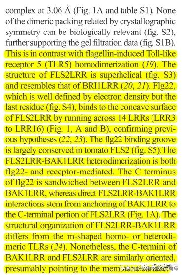 一文解决中英参考文献混排问题,一文搞定英语写作技巧