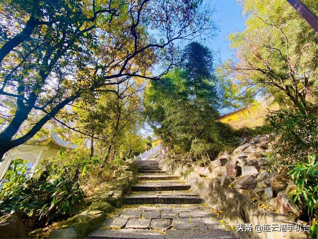连云港赏秋最佳地点,连云港附近秋天值得去看的地方