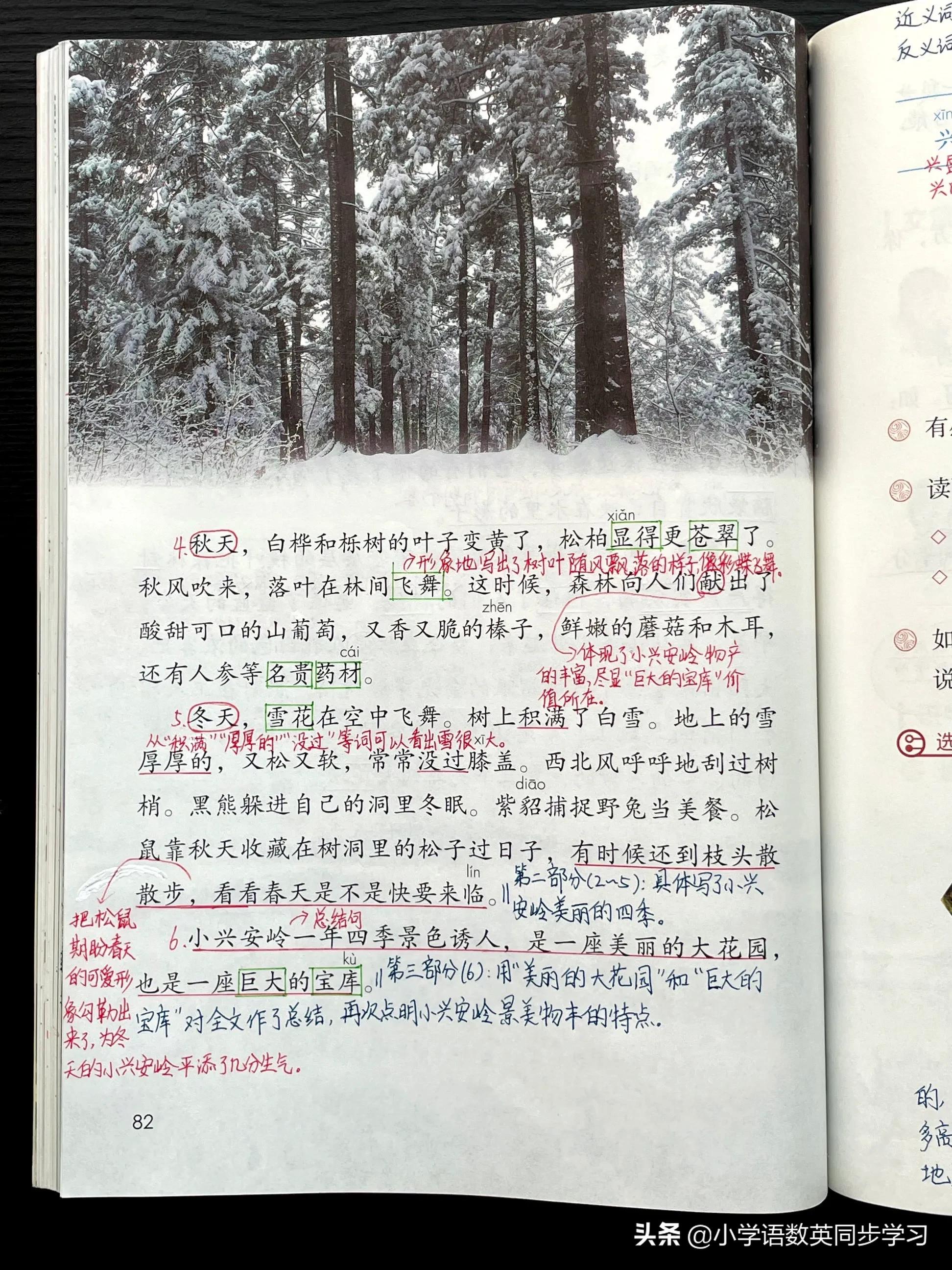 三年级上册第20课美丽的小兴安岭,三年级上册20美丽的小兴安岭生字