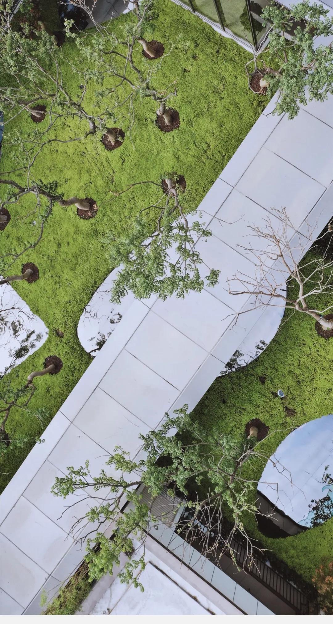 2019鸟瞰图,推荐鸟瞰图