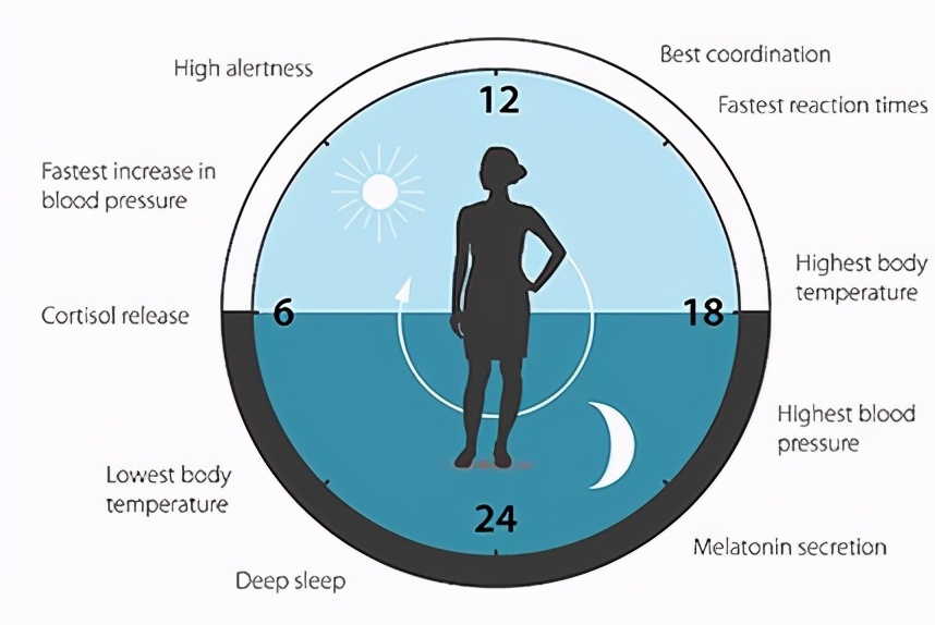 23岁脱发严重发量少怎么办 (脱发严重头发脆容易断是什么原因)