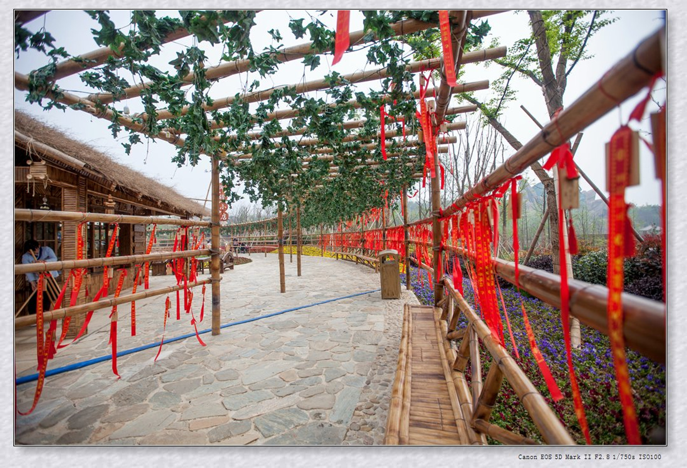 常州旅游东方盐湖城,骆驼之旅视频