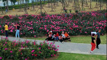 肇庆彩虹滑道在哪里,肇庆五天旅游攻略路线推荐