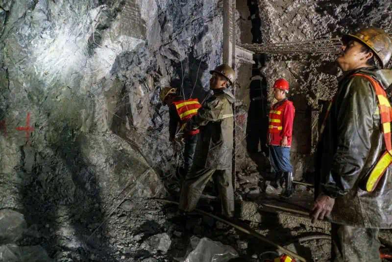 这是一个生机勃勃的地方关于它的故事才刚刚开始