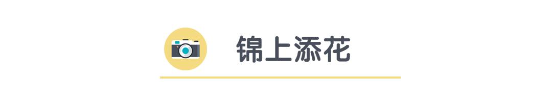 梦幻西游大唐官府之加点攻略总结,神威大唐官府器灵