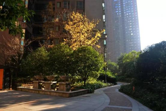 花果园森林公园,花果园生态果园