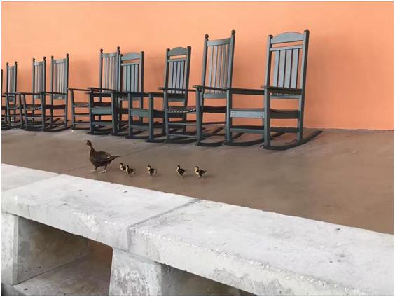 迈阿密海滩高级感泳装身材,经验心得分享篇