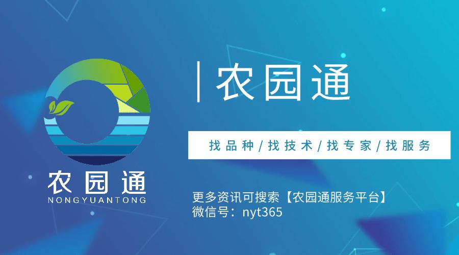 江宁台创园苗木基地,江宁生态农业园