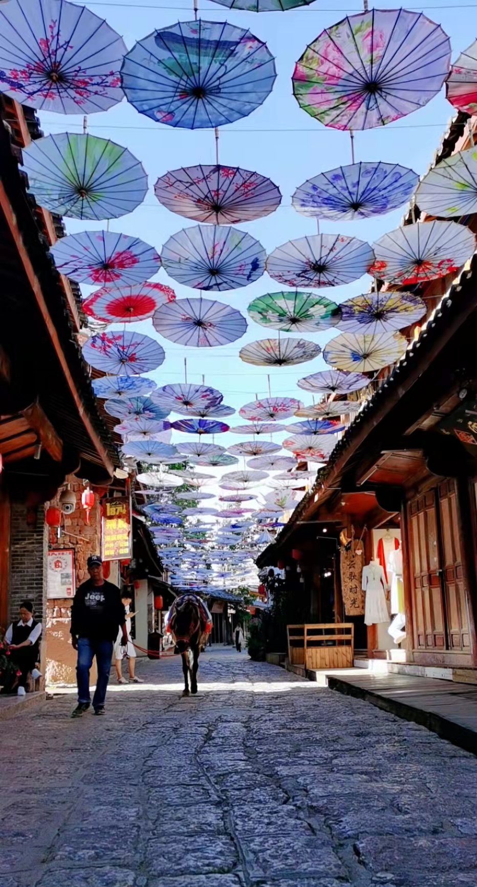 带着女儿去旅行云南,带着女儿去云南丽江玩