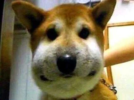 俞灏明牙龈上火脸肿,俞灏明牙龈肿胀图片