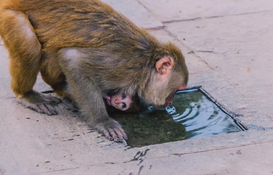 这个微笑国度,见人就夸漂亮,300元就能在天空滑翔