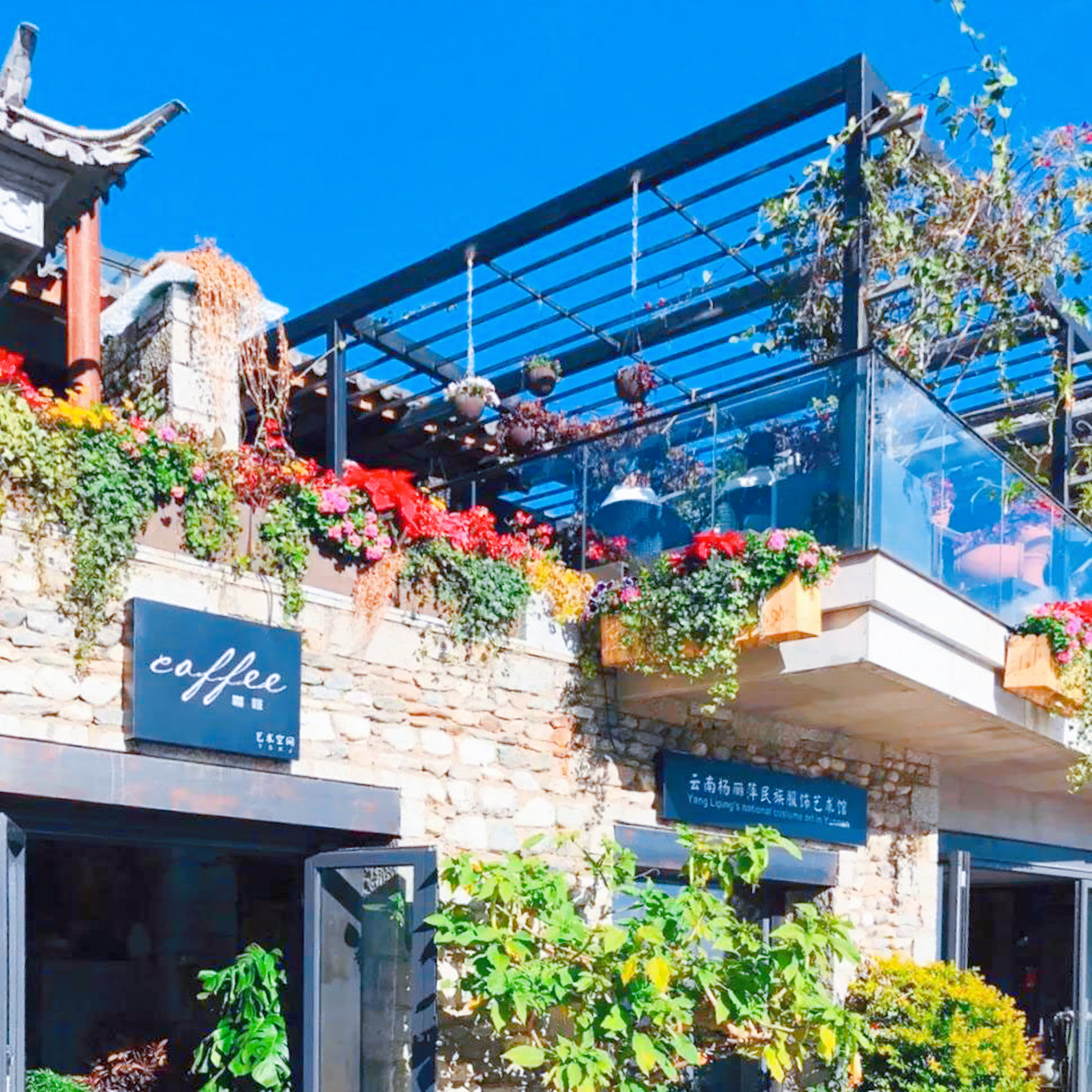 杨丽萍花3千多万,杨丽萍出场费多少钱一次