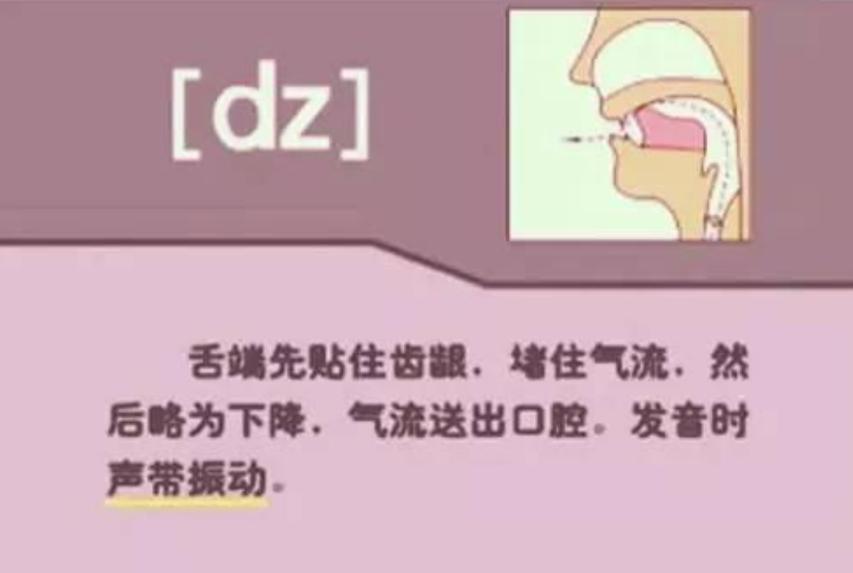 教你如何学英语音标,英语音标新手入门教程