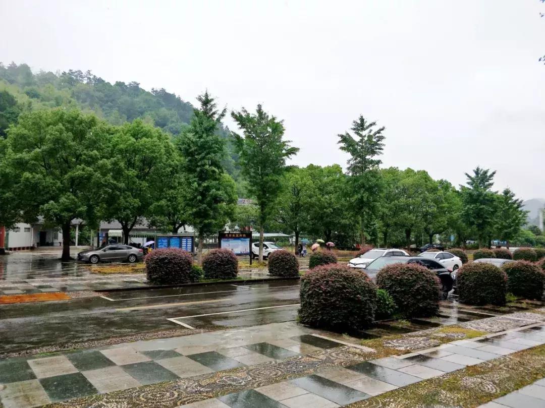 森林负离子度假酒店,负氧离子氧吧酒店