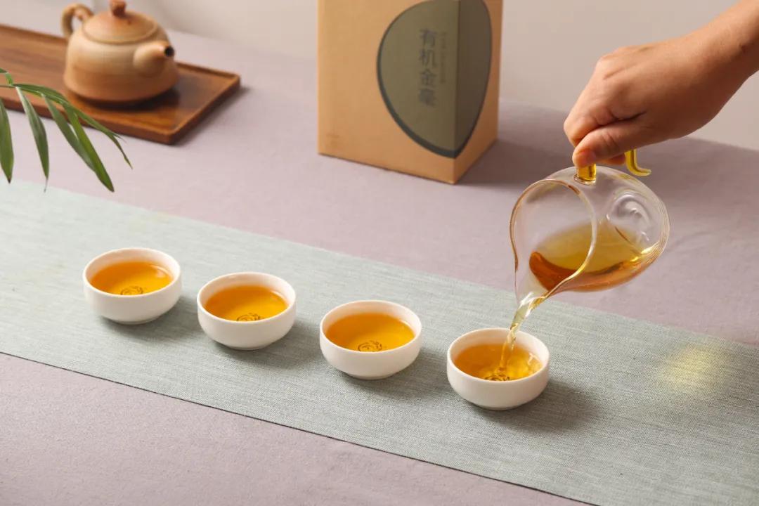 茶推荐口粮茶,新年新推荐一款性价比高的茶