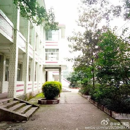 五通桥中学现状,五通桥中学回忆