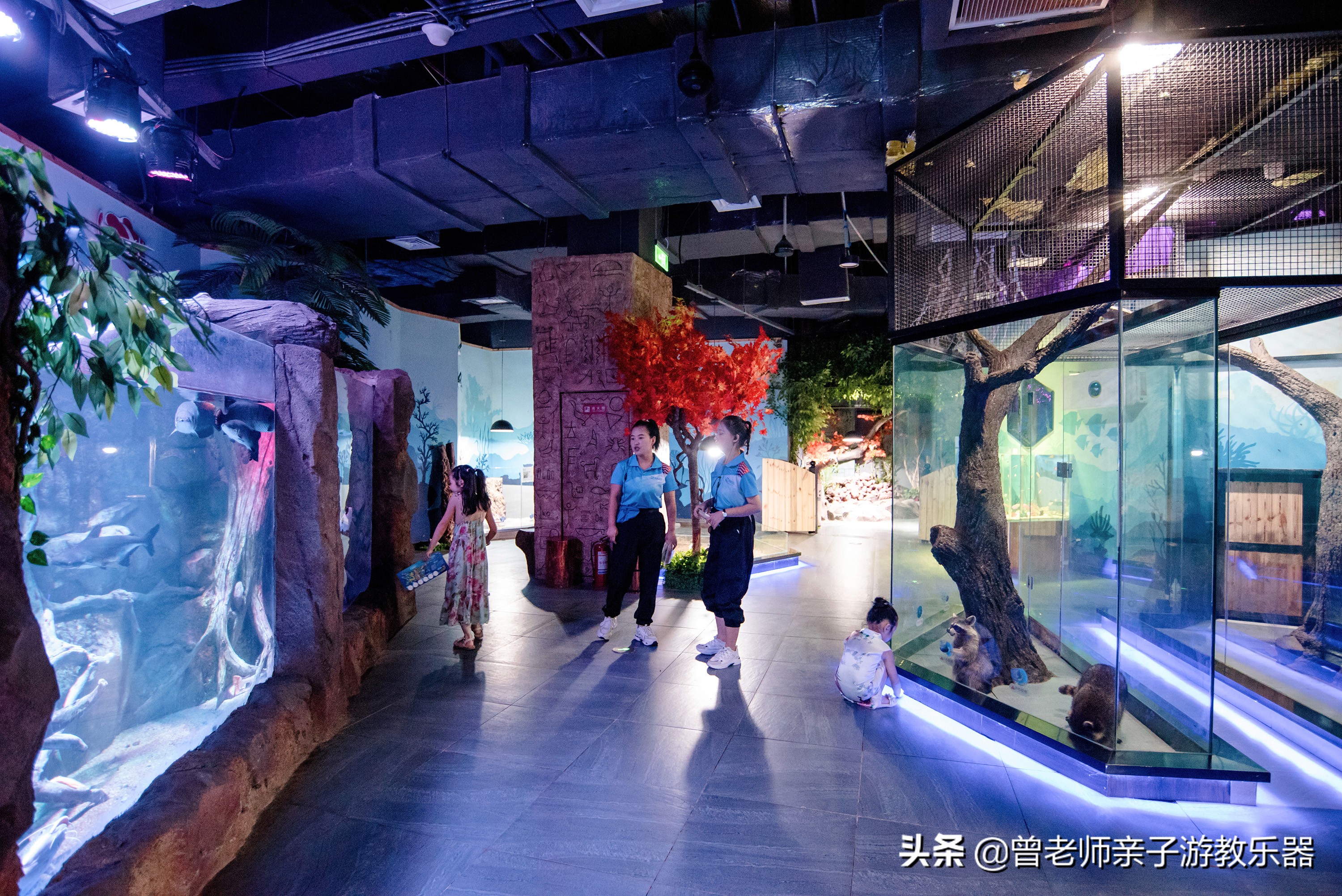 西安遛娃夏日,国庆西安周边2-3天溜娃