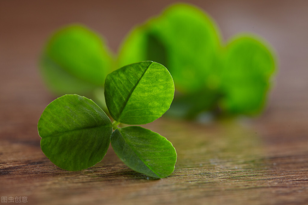 我希望找个女朋友英语怎么说,兵哥哥想找女朋友句子