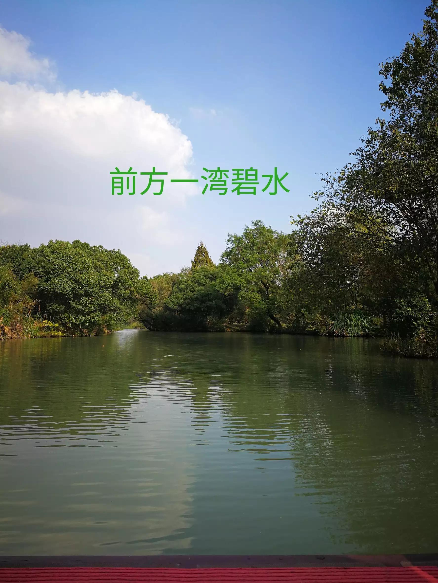 游览杭州西溪湿地,荡漾在四通八达的河道上,沁人心脾,一起看看