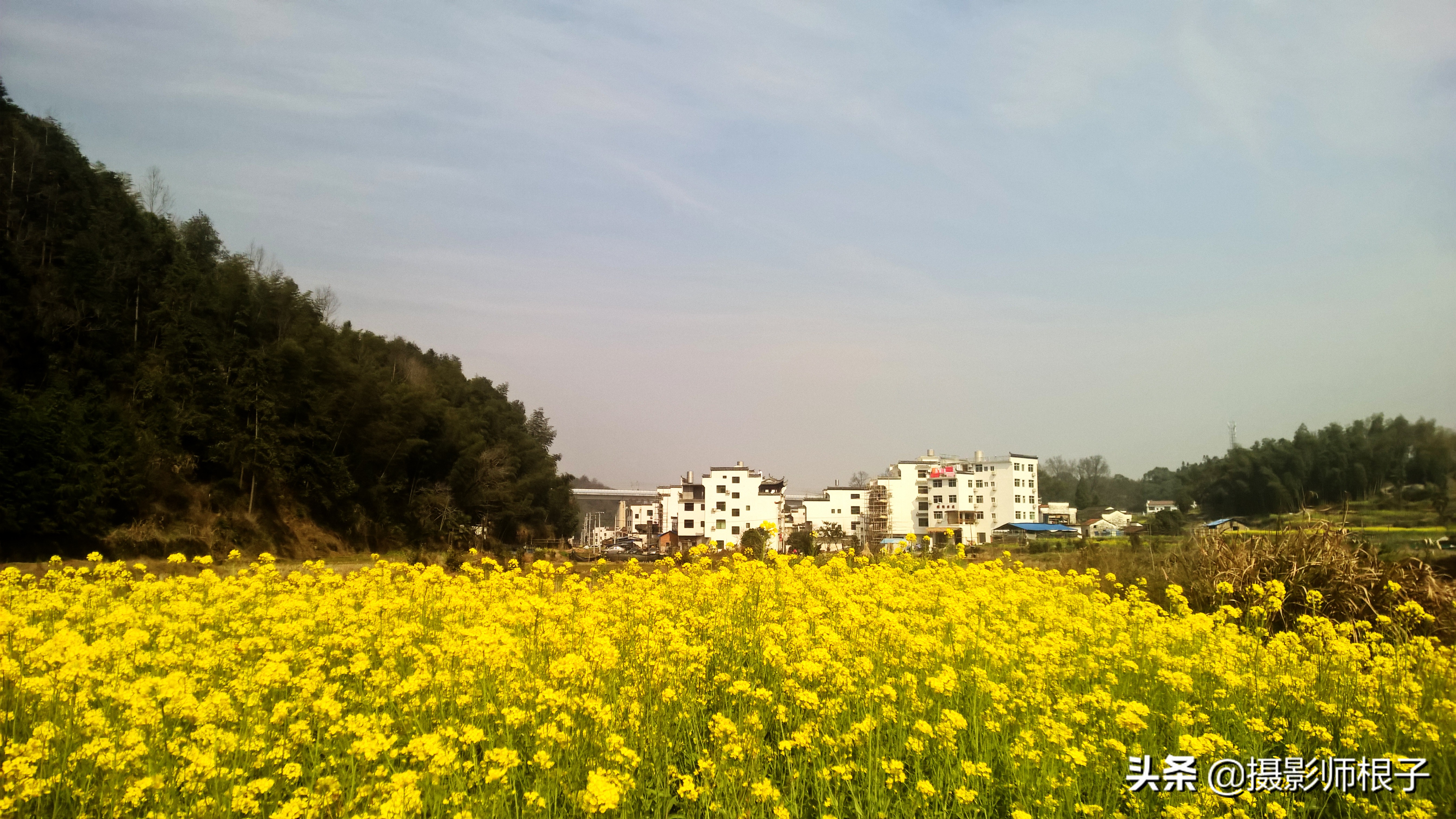 诺基亚1520的拍照能力有多强,诺基亚1520和925拍照对比