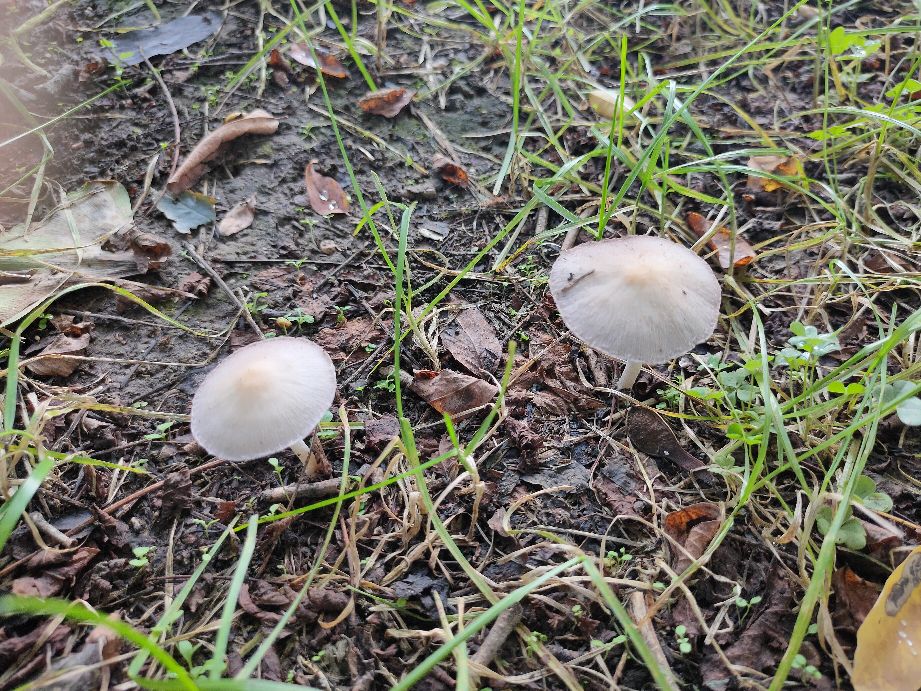 沈阳周边有山有水的免费景点,沈阳工业展览馆2021车展免费门票