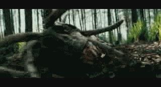 部队射击是双眼还是单眼,国内部队为什么单眼瞄准