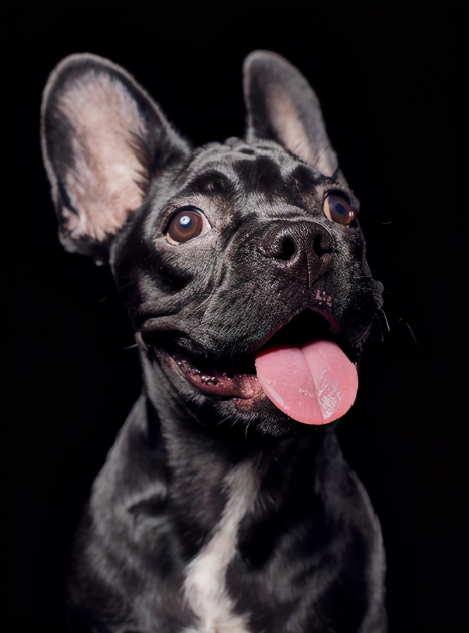 「1664巴黎艺墅」带你体验法式新style!还有热巴同款等你get