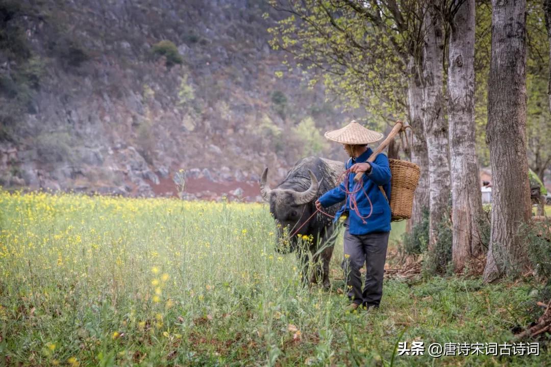 老翁七十犹强健,没膝春泥夜叱牛