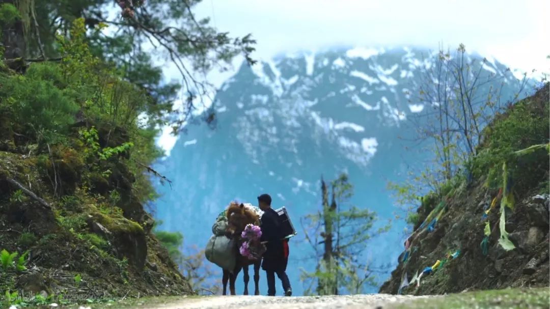 有一种风情叫江南烟雨,波密西藏江南